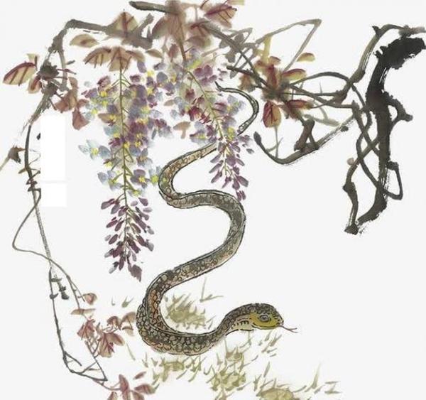 Tuổi Rắn sinh vào tháng 4 trời sinh giàu sang, không phải lo toan-4