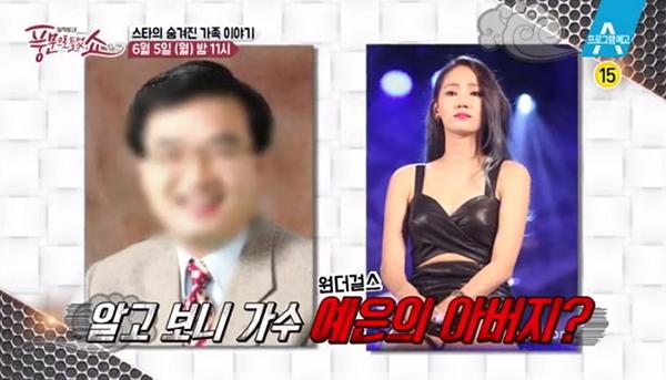 Cựu thành viên Wonder Girls từng muốn chết vì người cha cưỡng dâm, lừa đảo-2