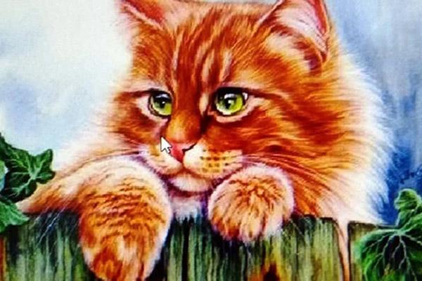 Tử vi hàng ngày 12 con giáp thứ Ba 15/3/2022: Dậu mang tiếng xấu-5