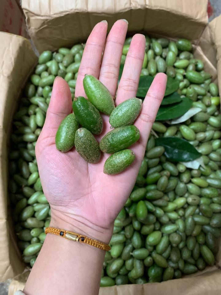 Nhót xanh chấm chẩm chéo: Món ngon Tây Bắc hội chị em phát cuồng-4