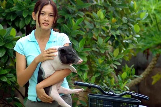 Anh Thu holds a pig as a judge on The Face, reminiscent of the scene where Pharmacist Tien brings pigs to the bar-3