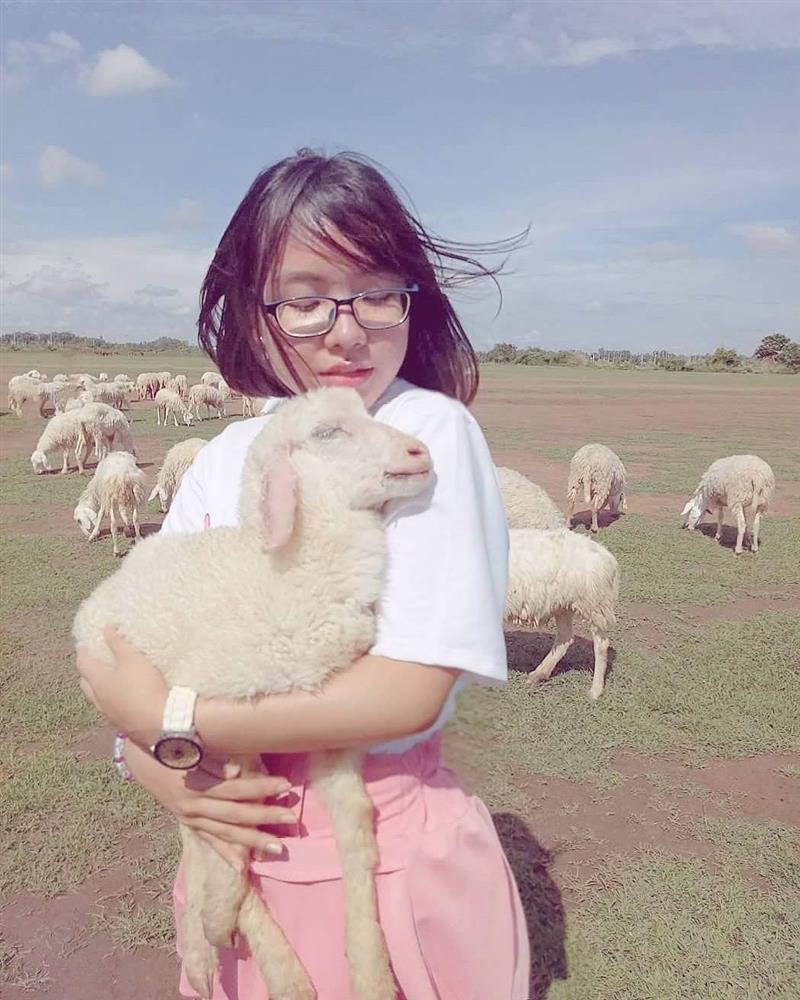 Pretty girls take pictures of wrestling sheep, the ending is both heartwarming and heartbreaking -4