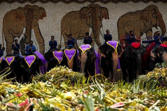 Thái Lan đãi tiệc buffet hàng tấn hoa quả cho gần 60 con voi-4