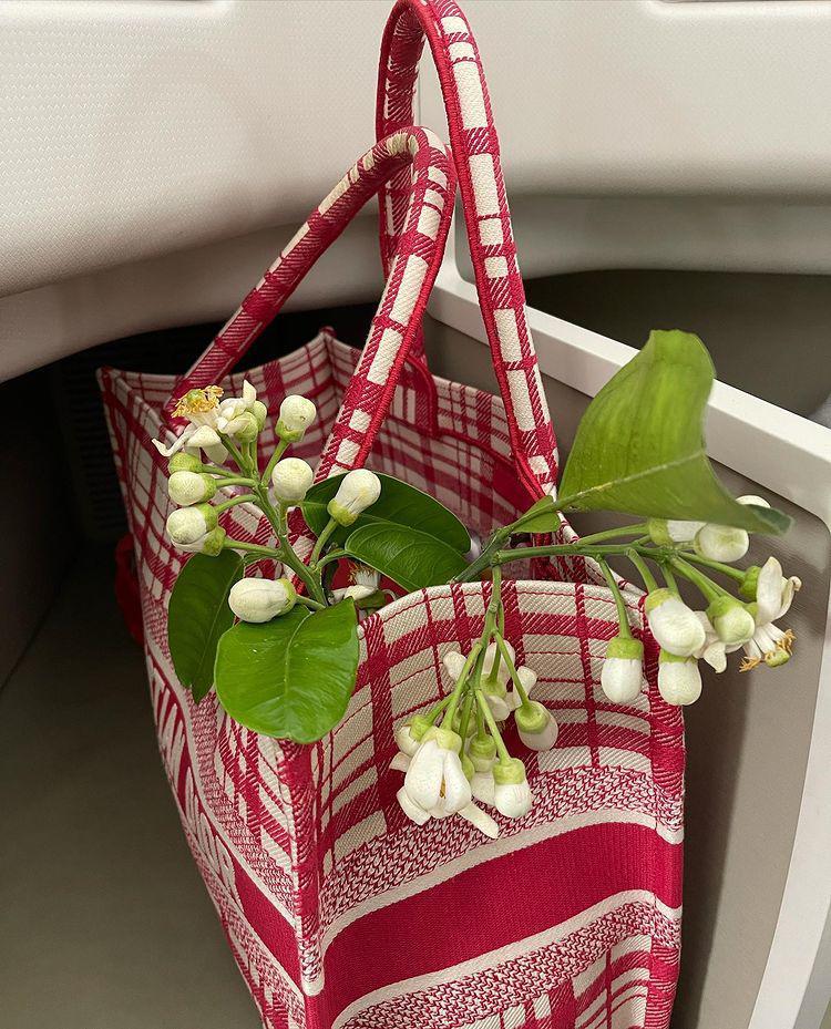 Phượng Chanel mặc lạc quẻ, đựng hoa bưởi trong túi hiệu 65 triệu-4