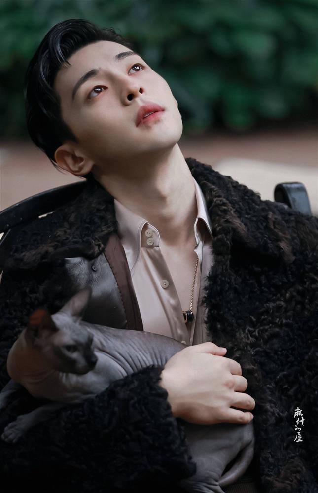 Thù lao của Đặng Luân trước khi lộ vụ trốn thuế hàng chục triệu USD-3