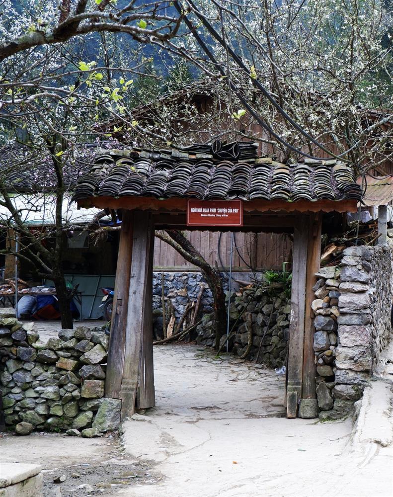 Nhà của Pao ngập trong sắc vàng hoa cải-2