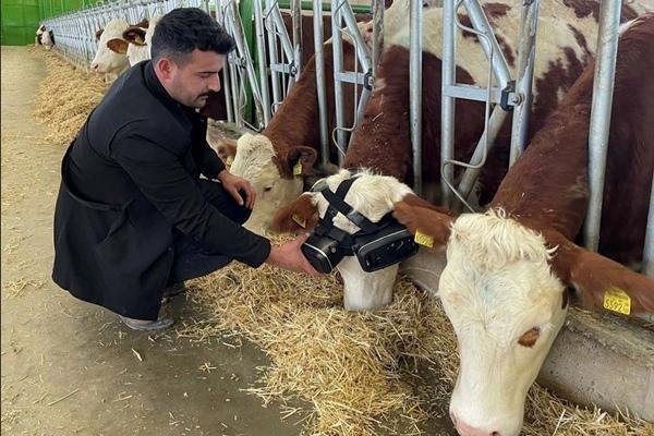 Chơi game thực tế ảo, cô gái bị quăng xuống đất vì bị ảo giác-2