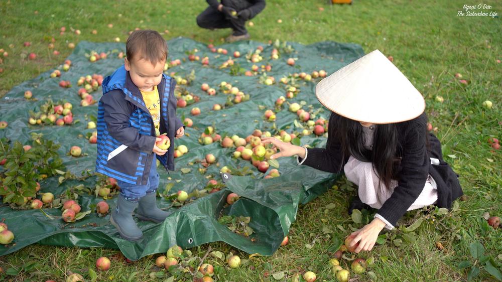 Gái Việt lấy chồng Đức ở nhà 700m2, muốn du lịch chỉ cần bước ra ngoài-5