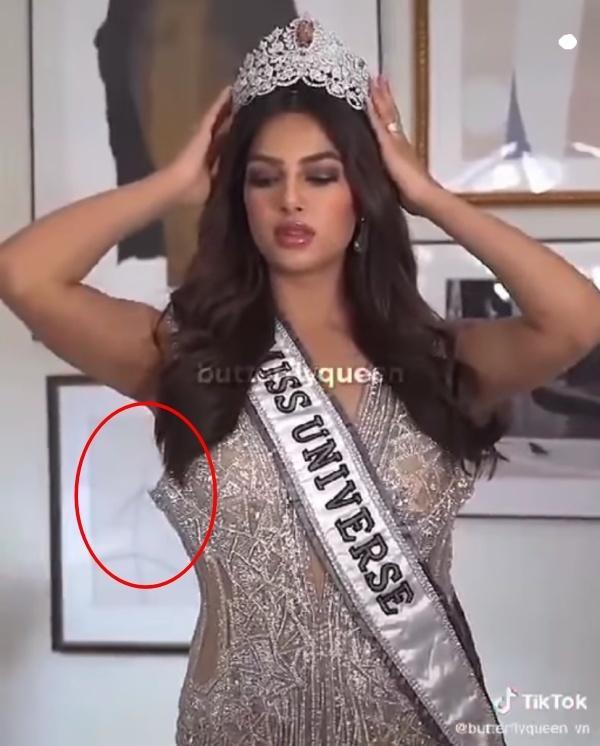 Miss Universe 2021 returns to India with a pregnant waist-6
