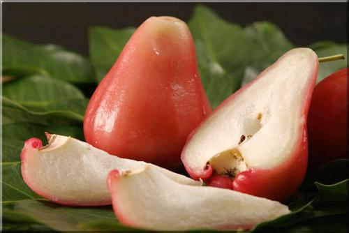 Ăn roi nhiều lợi ích nhưng phải lưu ý kẻo rước bệnh vào thân-1