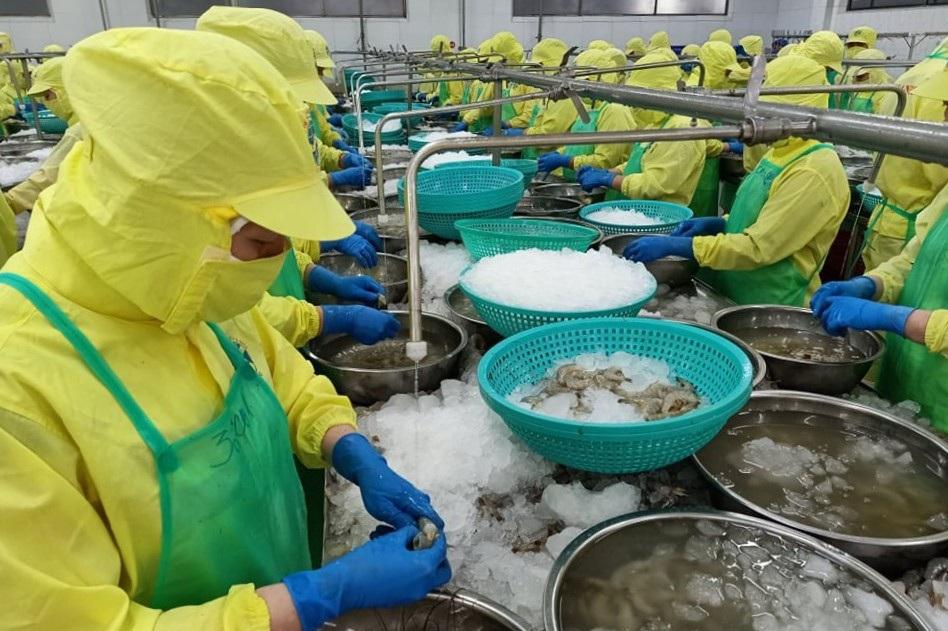 Cà Mau cho phép F0, F1 làm việc trực tiếp, không được ép buộc-1