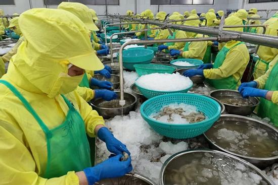 Cà Mau cho phép F0, F1 làm việc trực tiếp, không được ép buộc