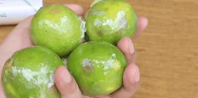 Bảo quản chanh tươi cả tháng không hỏng, giúp các F0 luôn có để dùng-2