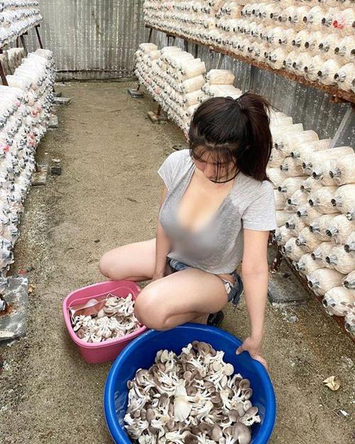 Gái xinh mặc quần khoét chỗ hiểm phản cảm thu hoạch nấm-3