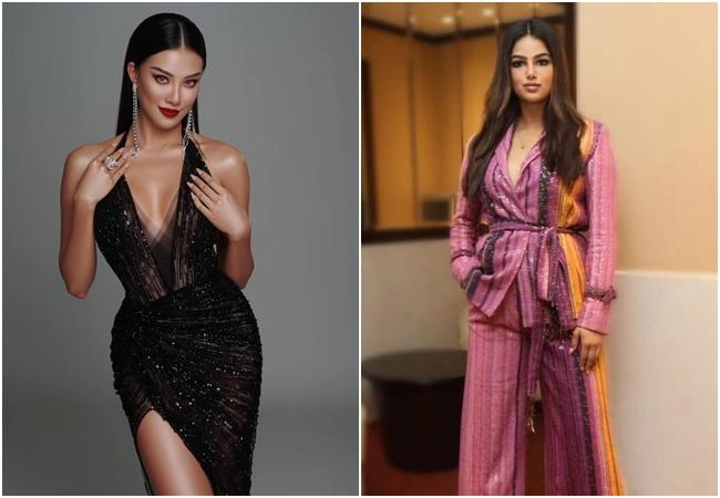 Phương Lê chê Miss Universe mẹ sề, dân mạng phản ứng ngược-2