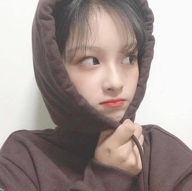 Nữ idol visual gây bão: Bé xíu đã xinh xỉu, đẹp từ trong trứng nước-4