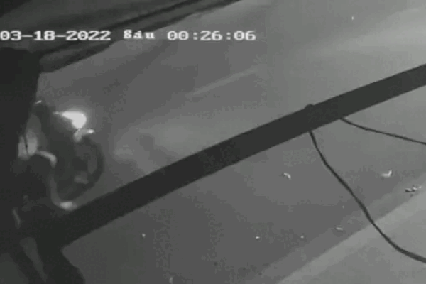 Clip: Thanh niên đổ gục xuống đường sau hỗn chiến bằng phóng lợn-2