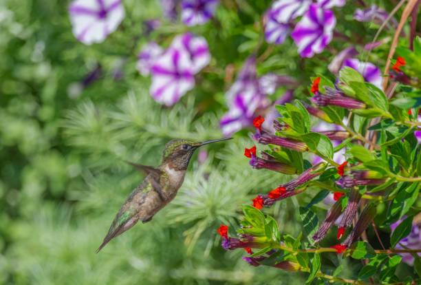 Sinh thời điểm Âm lịch này vận may dồn dập, tháng 3 tăng lương, tháng 4 đón lộc-1
