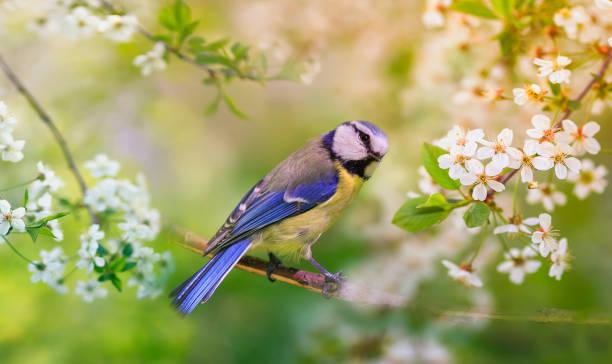 Sinh thời điểm Âm lịch này vận may dồn dập, tháng 3 tăng lương, tháng 4 đón lộc-2