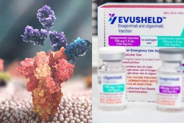 Evusheld is not a super vaccine against Covid-19