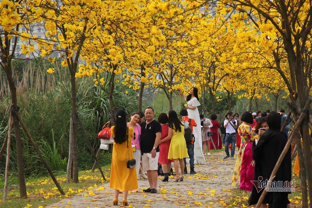 ‘Biển người’ đổ về tạo dáng bên hàng hoa phong linh đẹp ngất ngây ở Hà Nội-5