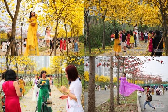 ‘Biển người’ đổ về tạo dáng bên hàng hoa phong linh đẹp ngất ngây ở Hà Nội