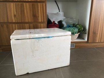 Vì sao F0 ra đường-4