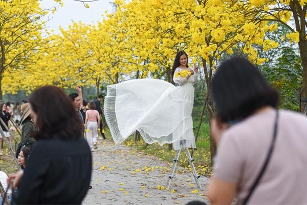 The maple flower garden causing fever in Hanoi stops to welcome guests to take photos