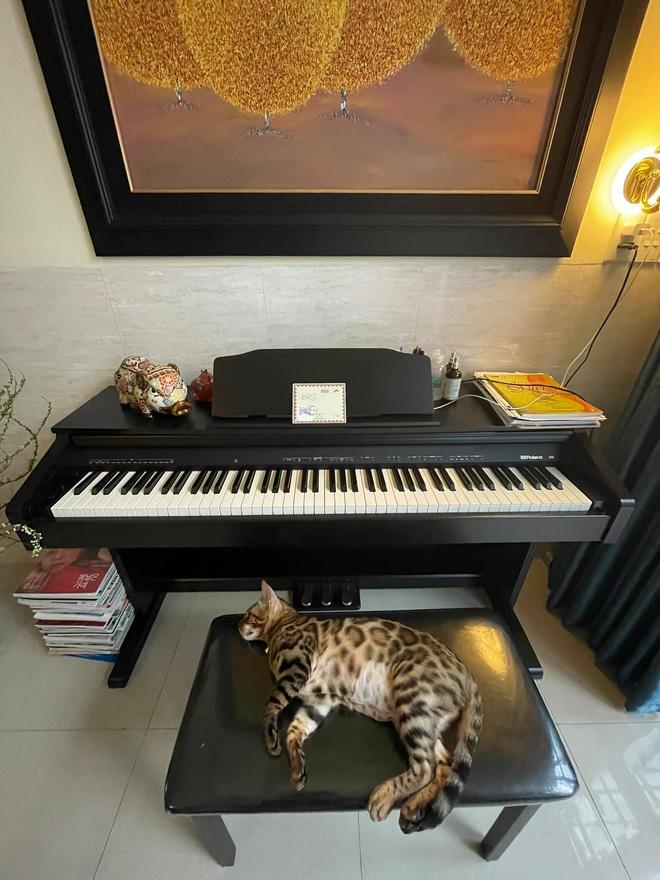 Ngắm căn nhà nghệ thuật của ca sĩ Uyên Linh-4