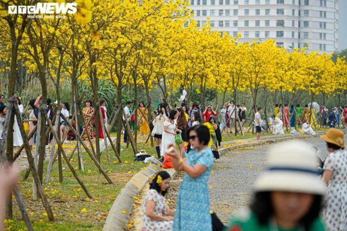 Đường hoa phong linh và những điểm check in sống ảo Hà Nội-2