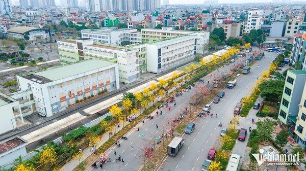 Tìm ra đường hoa vàng mới, chị em Hà thành hào hứng tháo giày, trèo rào săn ảnh-1