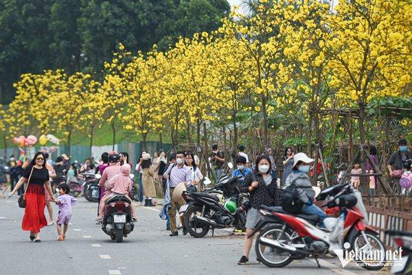 Finding a new golden flower path, Ha Thanh sisters excitedly took off their shoes and climbed the fence for paparazzi-3