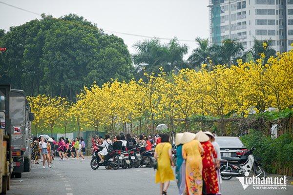 Tìm ra đường hoa vàng mới, chị em Hà thành hào hứng tháo giày, trèo rào săn ảnh-4