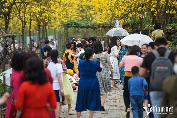 Finding a new golden flower path, Ha Thanh sisters excitedly took off their shoes and climbed the fence to take pictures-5