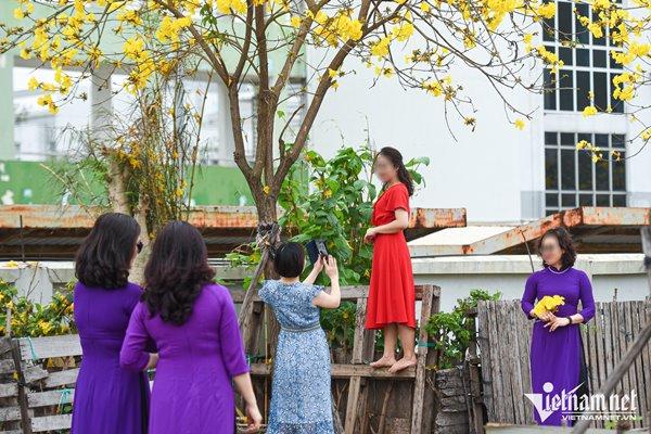 Finding a new golden flower path, Ha Thanh sisters excitedly took off their shoes and climbed the fence to take pictures-6