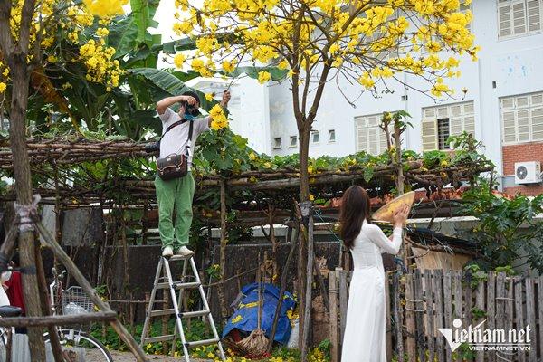 Finding a new golden flower path, Ha Thanh sisters excitedly took off their shoes and climbed the fence for paparazzi-9