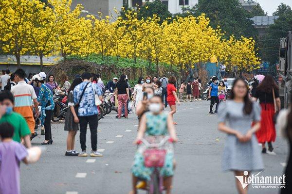 Ha Thanh sisters take off their shoes, climb the fence to take pictures in the new yellow flower street
