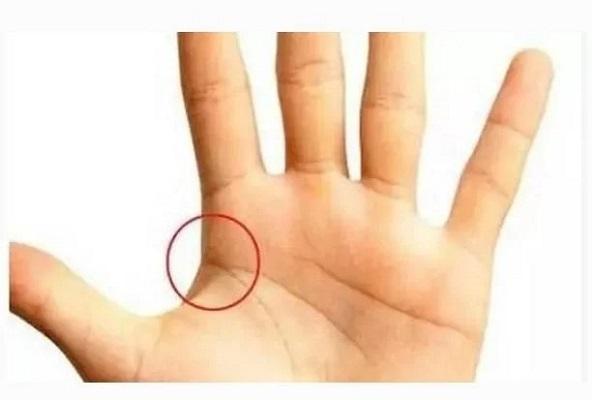 Sinh 4 ngày Âm lịch này, nửa đời trước khổ, nửa đời sau sung túc-5