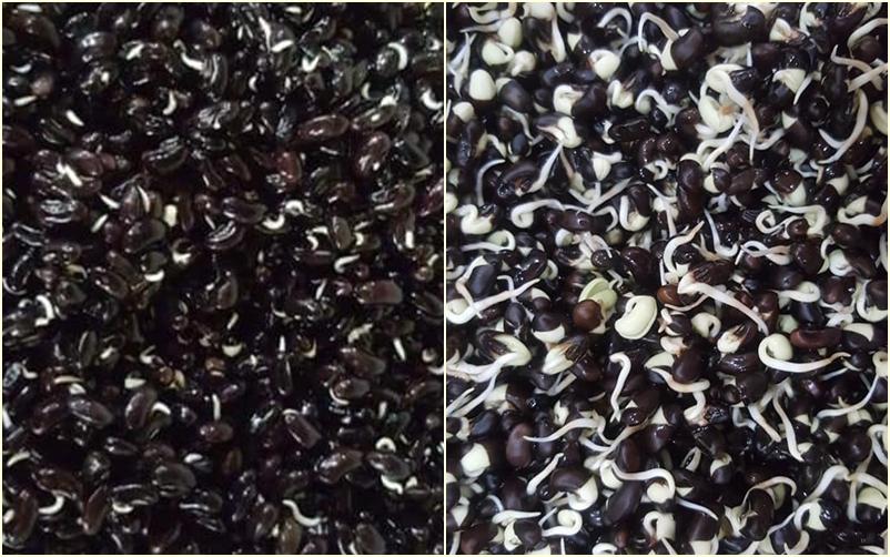 Một loại nước nếu uống hàng ngày, yên tâm đẹp từ trong ra ngoài!-4