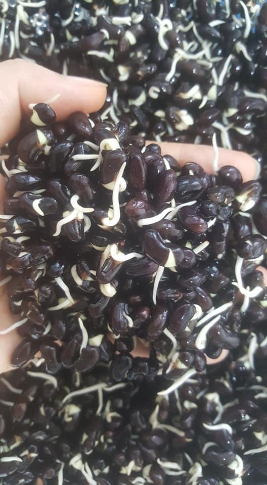 Một loại nước nếu uống hàng ngày, yên tâm đẹp từ trong ra ngoài!-5