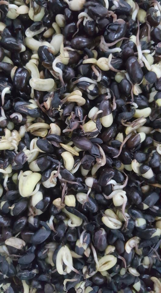 Một loại nước nếu uống hàng ngày, yên tâm đẹp từ trong ra ngoài!-7