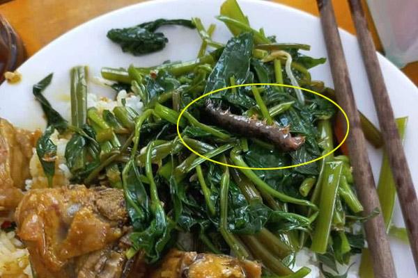 Con nhập học, mẹ chuẩn bị nguyên tiệm tạp hóa mang lên thành phố-8