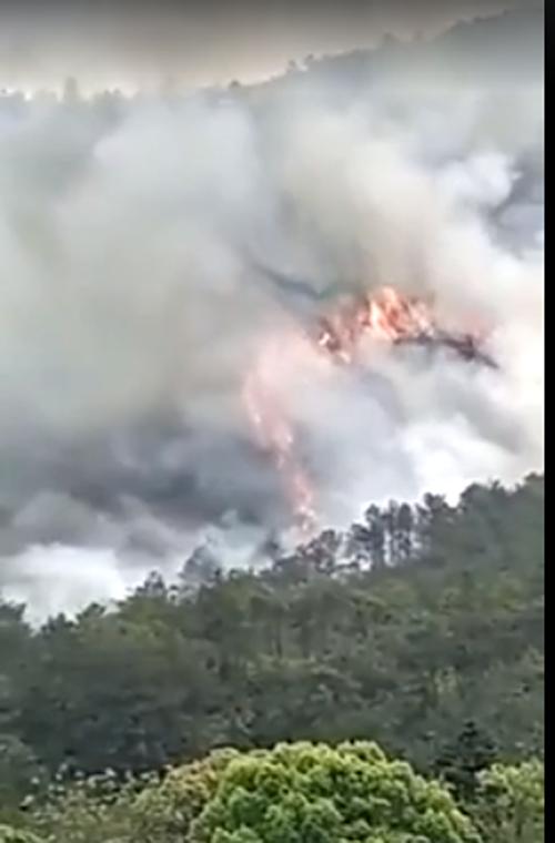 NÓNG: Rơi máy bay chở 132 người ở Trung Quốc-2