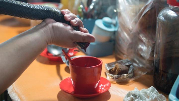 Chuồn chuồn rán giòn, tiết canh rắn và nhiều món Indonesia độc lạ-2