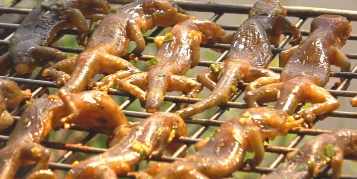 Chuồn chuồn rán giòn, tiết canh rắn và nhiều món Indonesia độc lạ-3