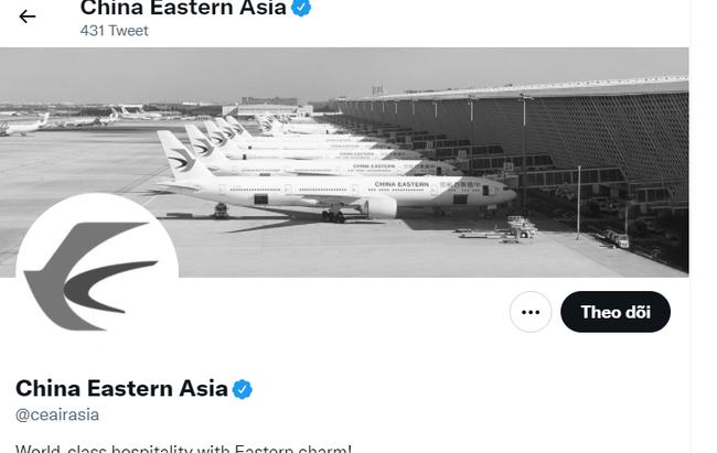 Máy bay Trung Quốc gặp nạn: Phi công bất tỉnh khi rơi thẳng đứng-4