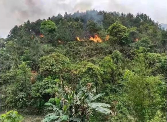 Máy bay Trung Quốc gặp nạn: Phi công bất tỉnh khi rơi thẳng đứng-1