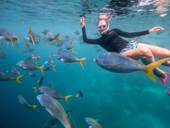 Khách sạn dưới nước cho phép ngắm san hô vĩ đại nhất thế giới-5