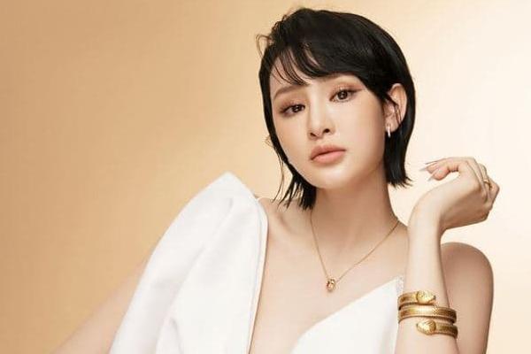 Dân mạng chê cát-xê của Hiền Hồ quá cao so với thực lực-3