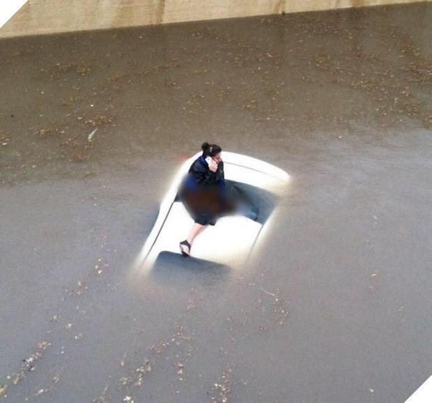 Những tai nạn xe hơi hài hước chỉ có thể là hội biết lái xe gây ra-5